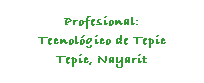 Cuadro de texto: Profesional:
Tecnolgico de Tepic
Tepic, Nayarit
